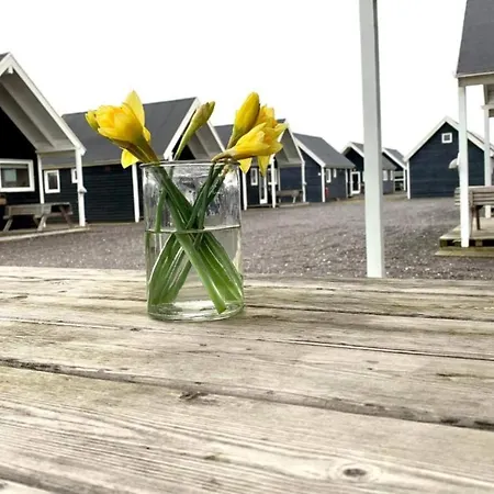 Tatil Evi 4 Star In *