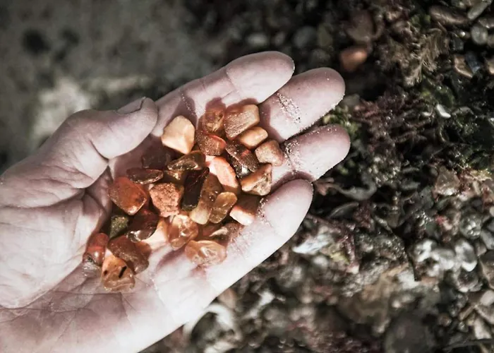 Σπίτι διακοπών 4 Star In